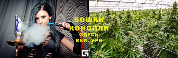 амф Зеленодольск