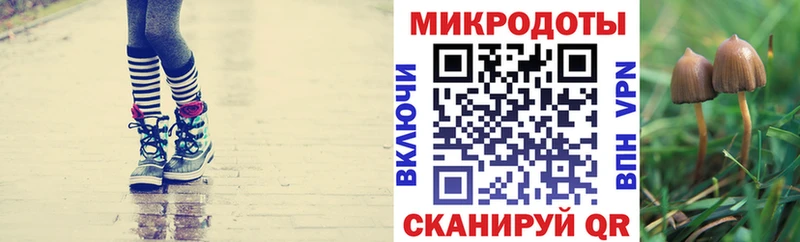 Купить закладки  Волоколамск  Псилоцибиновые грибы Magic Shrooms 
