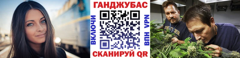 Бошки Шишки SATIVA & INDICA  Купить где  Волоколамск 
